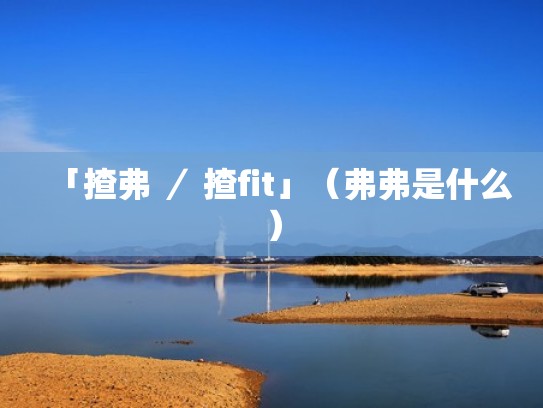 「揸弗 ／ 揸fit」（弗弗是什么）