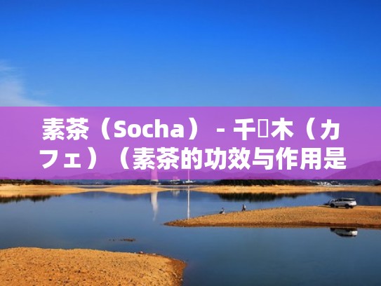 素茶（Socha） - 千駄木（カフェ）（素茶的功效与作用是什么）