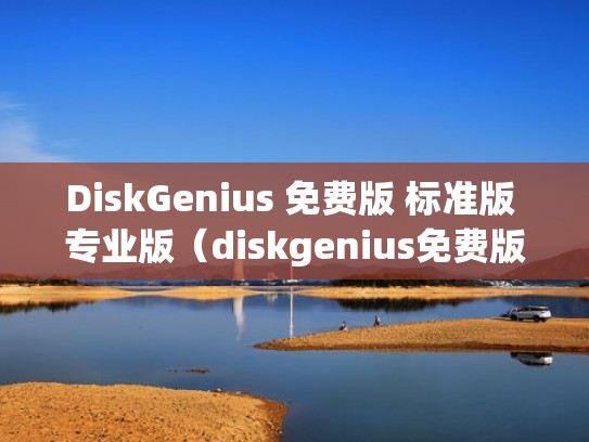 DiskGenius 免费版 标准版 专业版(diskgenius免费版可以恢复数据吗) DiskGenius 免费版 标准版 专业版(diskgenius免费版可以恢复数据吗)