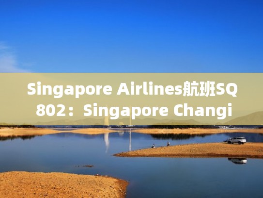 Singapore Airlines航班SQ 802：Singapore Changi - Beijing Capital（sq322新加坡航班动态查询）