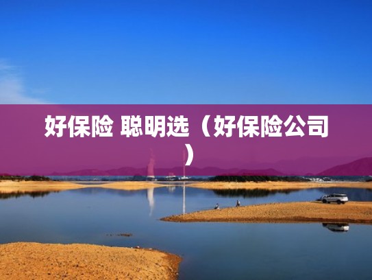 好保险 聪明选（好保险公司）