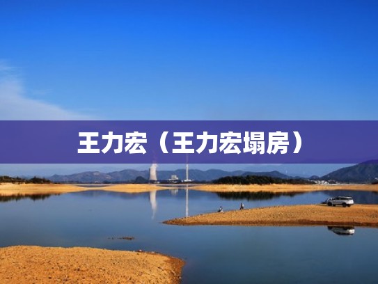 王力宏（王力宏塌房）