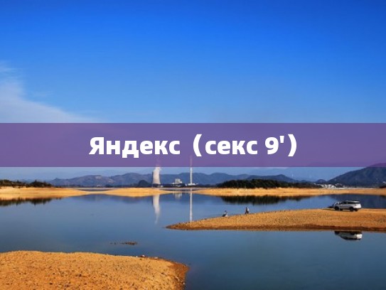 Яндекс（секс 9'）