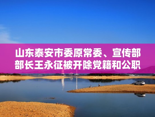 山东泰安市委原常委、宣传部部长王永征被开除党籍和公职（泰安王永征 白安东）