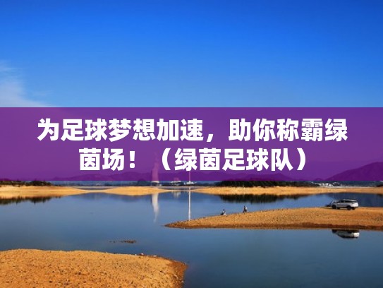 为足球梦想加速，助你称霸绿茵场！（绿茵足球队）