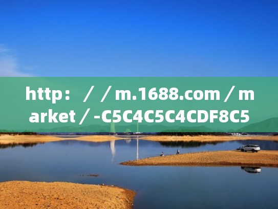 http：／／m.1688.com／market／-C5C4C5C4CDF8C5AED0AC的网页TDK检测（网站tdk查询）