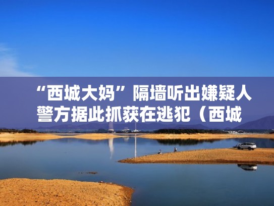 “西城大妈”隔墙听出嫌疑人 警方据此抓获在逃犯（西城大妈 朝阳群众 反映出了什么社会现象）