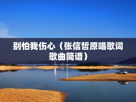 别怕我伤心（张信哲原唱歌词歌曲简谱）