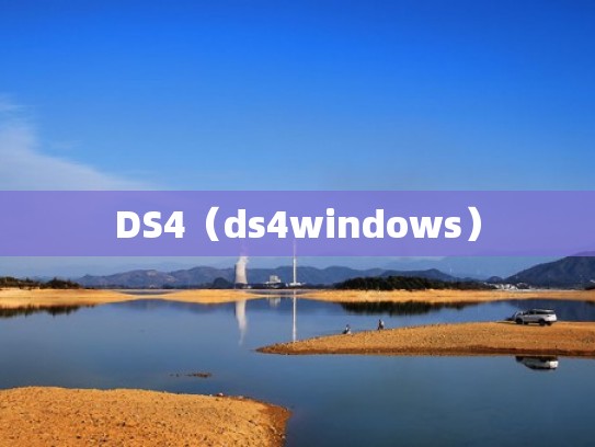 DS4（ds4windows）