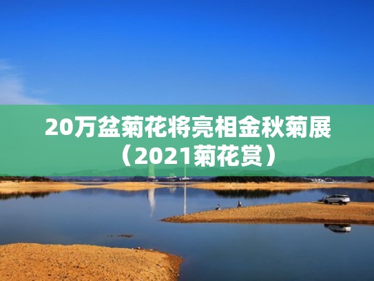 20万盆菊花将亮相金秋菊展（2021菊花赏）