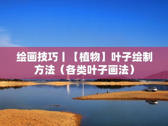 绘画技巧丨【植物】叶子绘制方法(各类叶子画法) 绘画技巧丨【植物】叶子绘制方法(各类叶子画法)