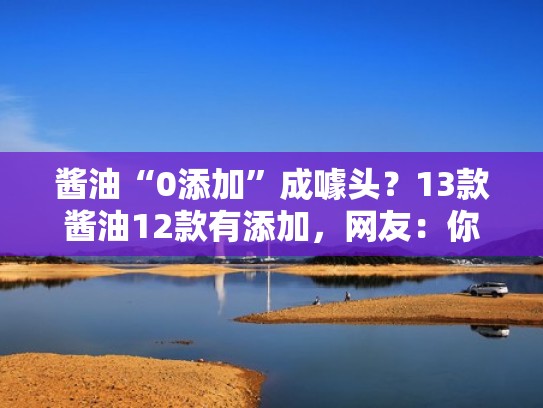 酱油“0添加”成噱头？13款酱油12款有添加，网友：你要点脸吧！（酱油有没有食品添加剂）