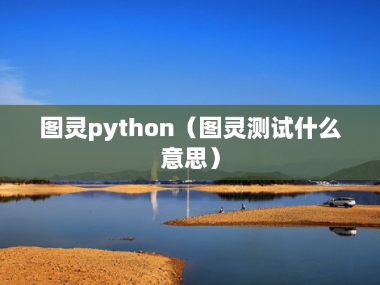 图灵python（图灵测试什么意思）