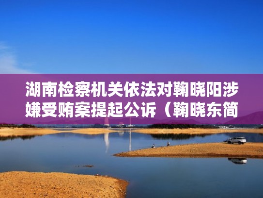 湖南检察机关依法对鞠晓阳涉嫌受贿案提起公诉（鞠晓东简历）