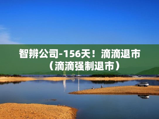 智辨公司-156天！滴滴退市（滴滴强制退市）