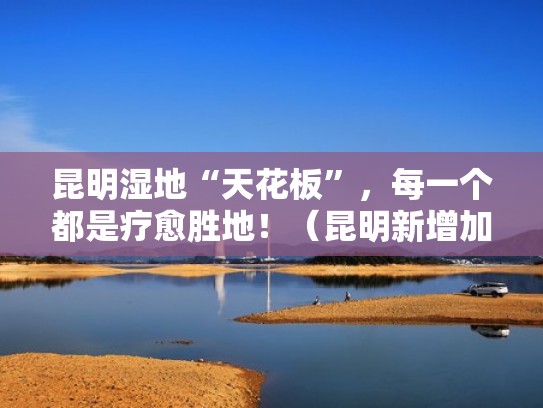 昆明湿地“天花板”，每一个都是疗愈胜地！（昆明新增加的湿地公园）