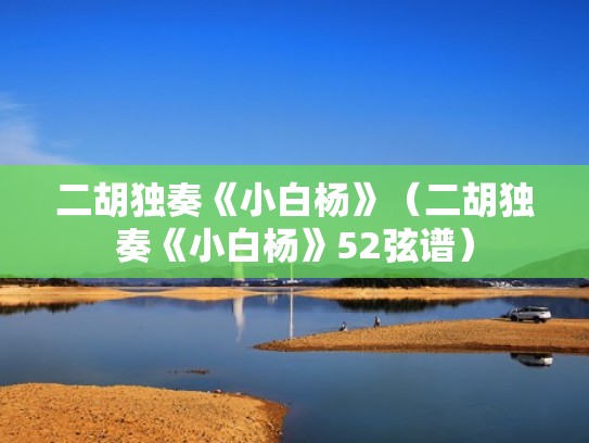 二胡独奏《小白杨》（二胡独奏《小白杨》52弦谱）