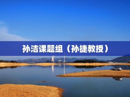 孙洁课题组（孙捷教授）