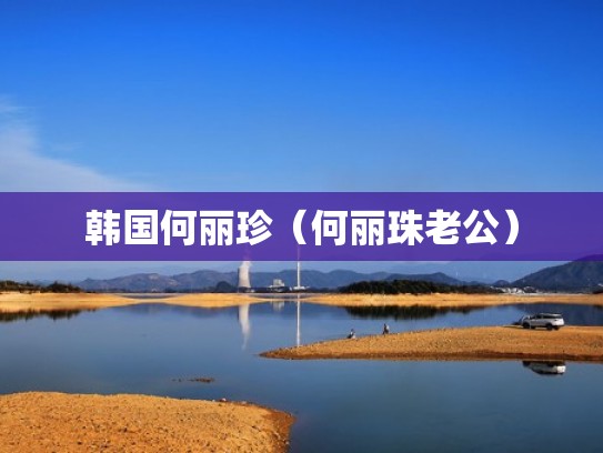 韩国何丽珍（何丽珠老公）