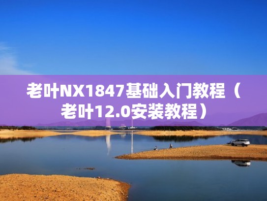 老叶NX1847基础入门教程（老叶12.0安装教程）