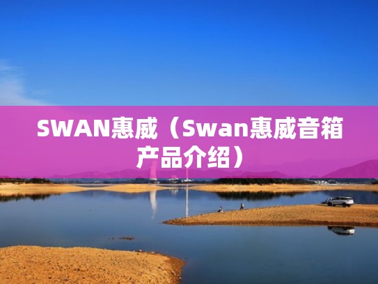 SWAN惠威（Swan惠威音箱产品介绍）