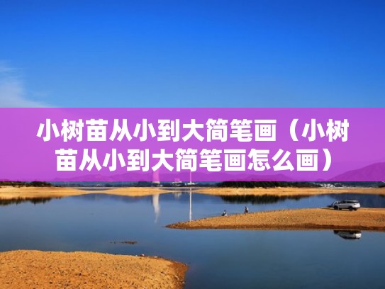 小树苗从小到大简笔画（小树苗从小到大简笔画怎么画）