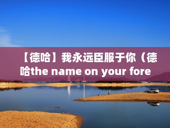 【德哈】我永远臣服于你（德哈the name on your forehead）