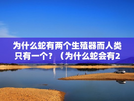 为什么蛇有两个生殖器而人类只有一个?(为什么蛇会有2个唧唧) 为什么蛇有两个生殖器而人类只有一个?(为什么蛇会有2个唧唧)