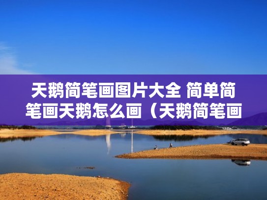 天鹅简笔画图片大全 简单简笔画天鹅怎么画(天鹅简笔画步骤) 天鹅简笔画图片大全 简单简笔画天鹅怎么画(天鹅简笔画步骤)