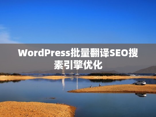 WordPress批量翻译SEO搜素引擎优化