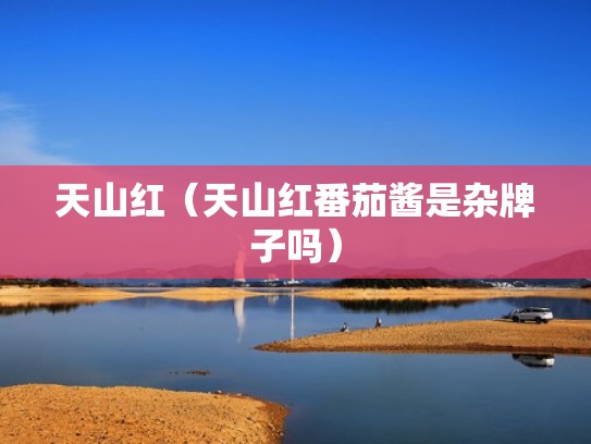 天山红（天山红番茄酱是杂牌子吗）