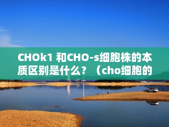 CHOk1 和CHO-s细胞株的本质区别是什么？（cho细胞的作用）
