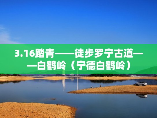 3.16踏青——徒步罗宁古道——白鹤岭(宁德白鹤岭) 3.16踏青——徒步罗宁古道——白鹤岭(宁德白鹤岭)