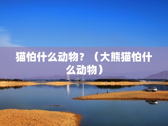 猫怕什么动物？（大熊猫怕什么动物）