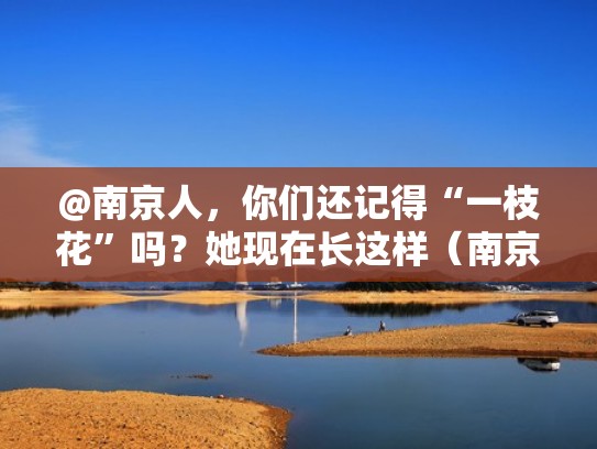@南京人，你们还记得“一枝花”吗？她现在长这样（南京的一枝花如今怎样啦）