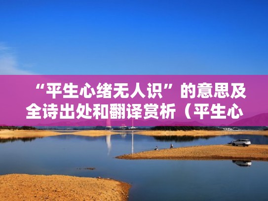 “平生心绪无人识”的意思及全诗出处和翻译赏析（平生心事有谁知）
