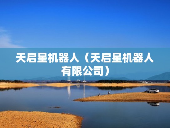 天启星机器人(天启星机器人有限公司) 天启星机器人(天启星机器人有限公司)