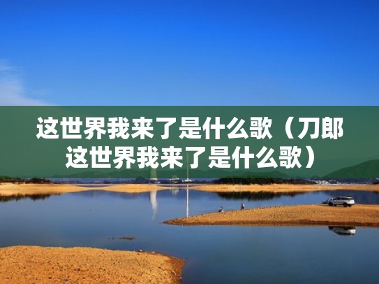 这世界我来了是什么歌（刀郎这世界我来了是什么歌）