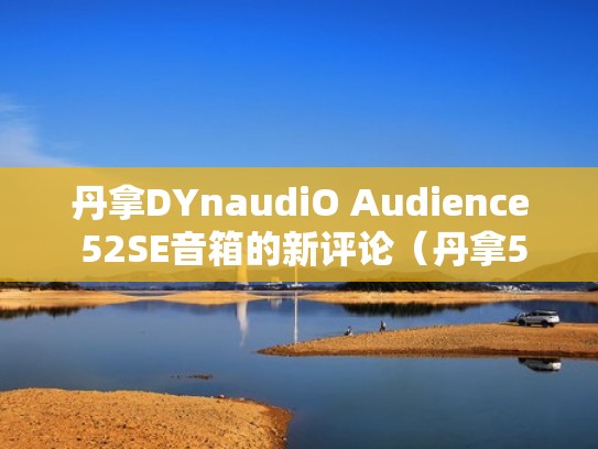 丹拿DYnaudiO Audience 52SE音箱的新评论（丹拿52用什么推最好）