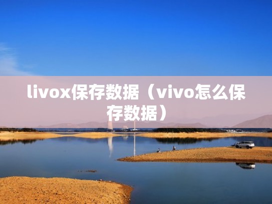 livox保存数据（vivo怎么保存数据）