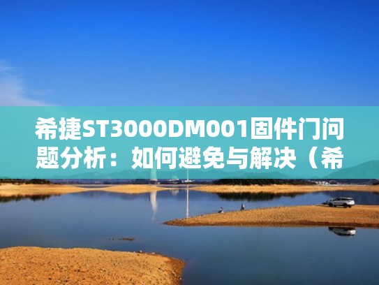 希捷ST3000DM001固件门问题分析：如何避免与解决（希捷固件门最简单解决方式）