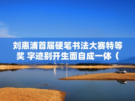 刘惠浦首届硬笔书法大赛特等奖 字迹别开生面自成一体（刘惠蒲的硬笔书法）