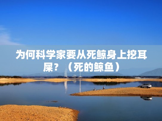 为何科学家要从死鲸身上挖耳屎？（死的鲸鱼）
