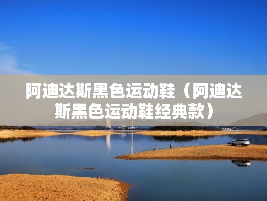 阿迪达斯黑色运动鞋（阿迪达斯黑色运动鞋经典款）