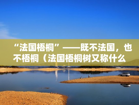 “法国梧桐”——既不法国，也不梧桐（法国梧桐树又称什么）