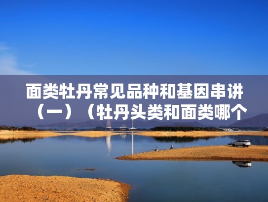 面类牡丹常见品种和基因串讲（一）（牡丹头类和面类哪个比较凶）