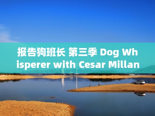 报告狗班长 第三季 Dog Whisperer with Cesar Millan Season 3(2006)（报告狗班长每集介绍）