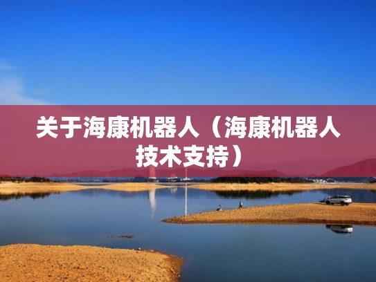 关于海康机器人（海康机器人技术支持）