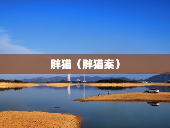 胖猫（胖猫案）