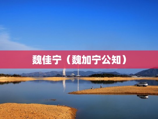 魏佳宁（魏加宁公知）